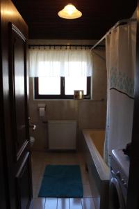 Apartments with WiFi Novigrad 14743