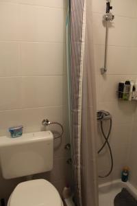 Apartments with WiFi Novigrad 14743