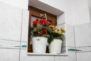 Apartments by the sea Krilo Jesenice, Omis - 14823