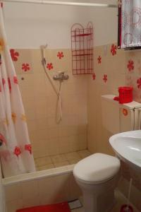 Apartments and rooms with parking space Stari Grad, Hvar - 14888