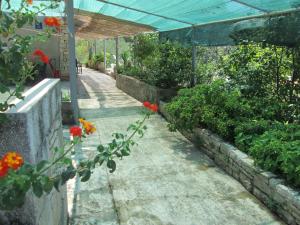 Seaside holiday house Cove Bristva, Korcula - 14892