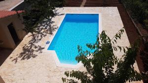 Family friendly apartments with a swimming pool Zadar  14933