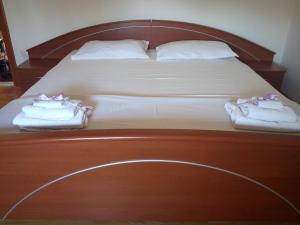 Family friendly apartments with a swimming pool Zadar 14933