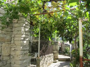 Apartments by the sea Stomorska, Solta - 14960