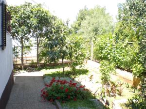 Apartments with a parking space Milna, Brac - 14961