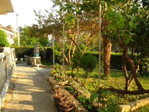 Apartment Palit 14996b