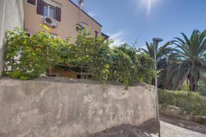 Apartments with a parking space Mali Losinj (Losinj) - 15050 