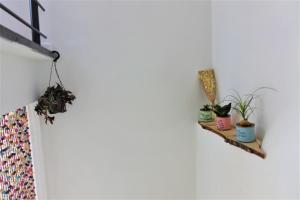 Maisons de vacances Maison avec Suite Justice Argeles sur Mer : photos des chambres