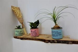 Maisons de vacances Maison avec Suite Justice Argeles sur Mer : photos des chambres