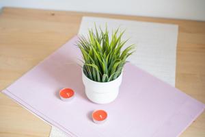 FullHouse - Zwickau - L96 - SmartTV - Nespresso - 2 Queensize Beds