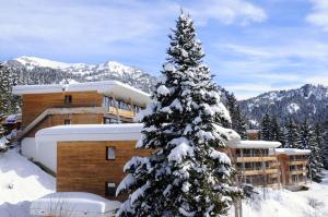 Au pays des marmottes Appartement 6 personnes plein sud sans vis à vis avec terrasse