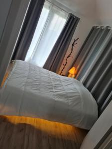 Cabane cosy proche centre ville
