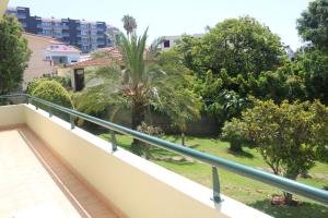 Garajau Terrace Orchids