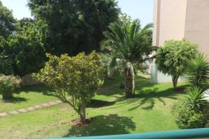 Garajau Terrace Orchids