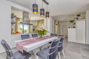 Villa Istria Vabriga