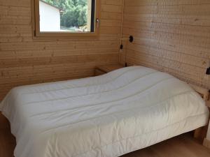 Chalets Chalet Pralognan-la-Vanoise, 4 pieces, 8 personnes - FR-1-464-188 : photos des chambres