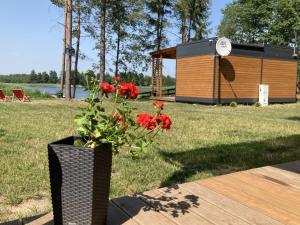 Makosieje Resort - komfortowy domek 30m od jeziora,ogrzewanie,wi-fi,widok na jezioro