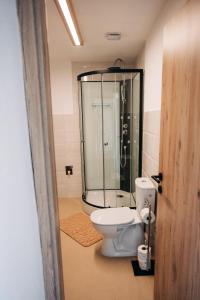 Štekner house Apartma