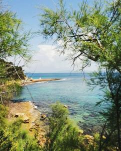 Appartements Carry le Rouet : superbe T2 neuf : photos des chambres