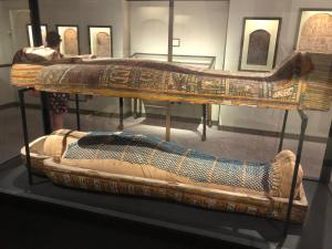 Appartements Bel appartement en residence avec piscine : photos des chambres