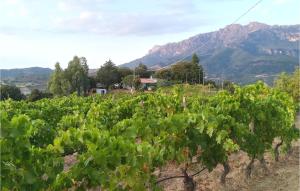 Cozy Home In Orgosolo img14