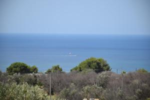 Mamma Maria Salento - Alle Macchie