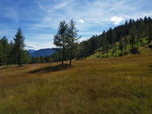 Haus Rappold