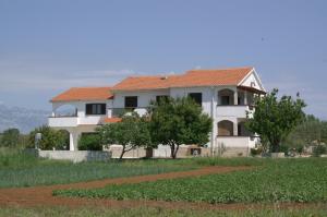 Family friendly seaside apartments Povljana, Pag - 230