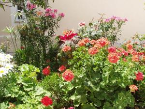 Apartments with parking space Povljana, Pag - 228