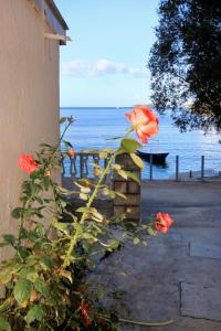 Apartments by the sea Brna, Korcula - 171