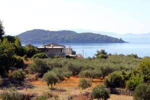 Apartments with parking space Prizba, Korcula - 219