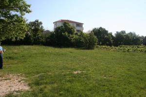 Apartment Caska 202c