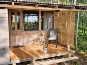 Skaisto saulrietu namiņš - Liepupe