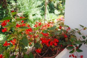 Miraflores Resort Estudio La Cala Mijas by Holidays & Home