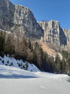 Maisons de vacances Place Royale pour 10 a 12 personnes a 30m des pistes de Ski et Vtt : photos des chambres