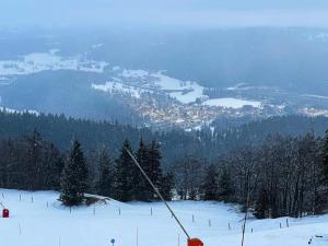 Maisons de vacances Place Royale pour 10 a 12 personnes a 30m des pistes de Ski et Vtt : photos des chambres