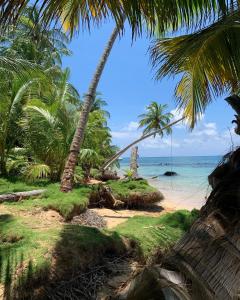 ENSUEÑOS NATURAL RESERVE Little Corn Island Nicaragua