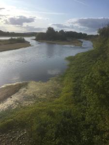 Appartements Appartement 1 chambre : photos des chambres