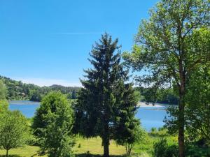 Maisons de vacances Gite Puy De Dome : photos des chambres