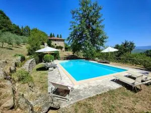 Caprese Michelangelo - Villa vista lago - 卡普雷塞·米开朗基罗