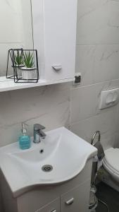 TOP 3 Apartments