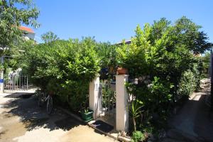 Seaside holiday house Sucuraj, Hvar - 15141