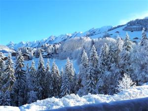 Appartement ski aux pieds, 2 chambres, terrasse et parking couvert - La Clusaz - FR-1-459-49