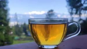 Himalayan Cloud's Homestay - Singtām