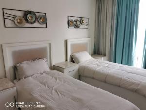 Amazing 2BR pent house flat with mountain view
