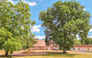 Pet Friendly Apartment