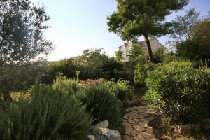 Apartments by the sea Stupin Celine, Rogoznica - 10321