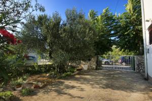 Apartments by the sea Stupin Celine Rogoznica 10321