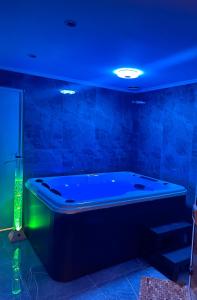 Maisons de vacances Maison privative SPA Jacuzzi Sauna Salle de jeux : photos des chambres