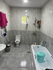 Cozy space in Tbilisi